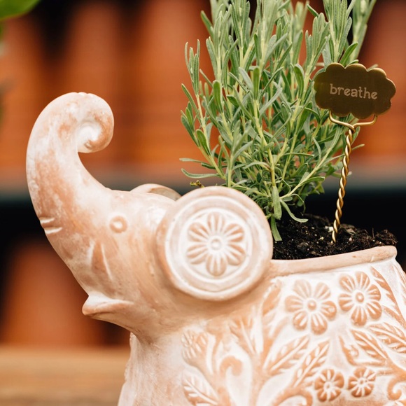 🆕 Handmade Terracotta Trumpeting Elephant Planter Drainage Indoor Outdoor BNIB - Picture 5 of 6